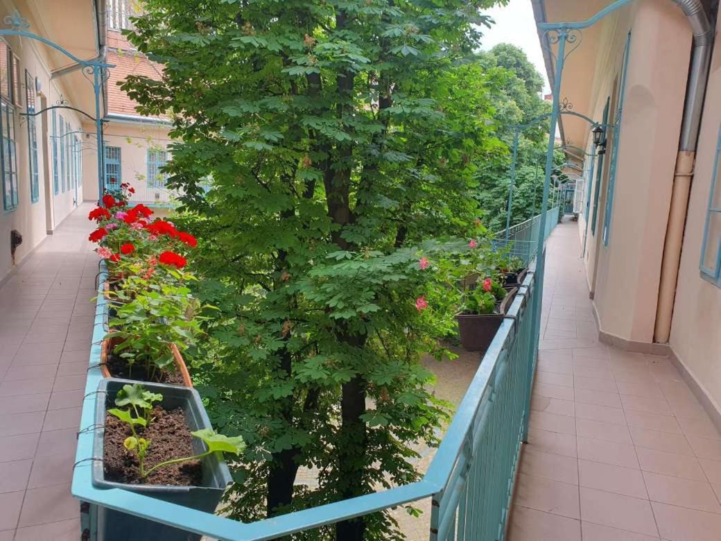 Gr3 Budapesta